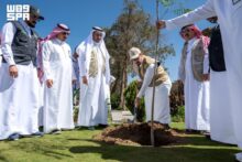 أمانة الباحة تزرع أكثر من مليون شجرة في المدينة والمحافظات