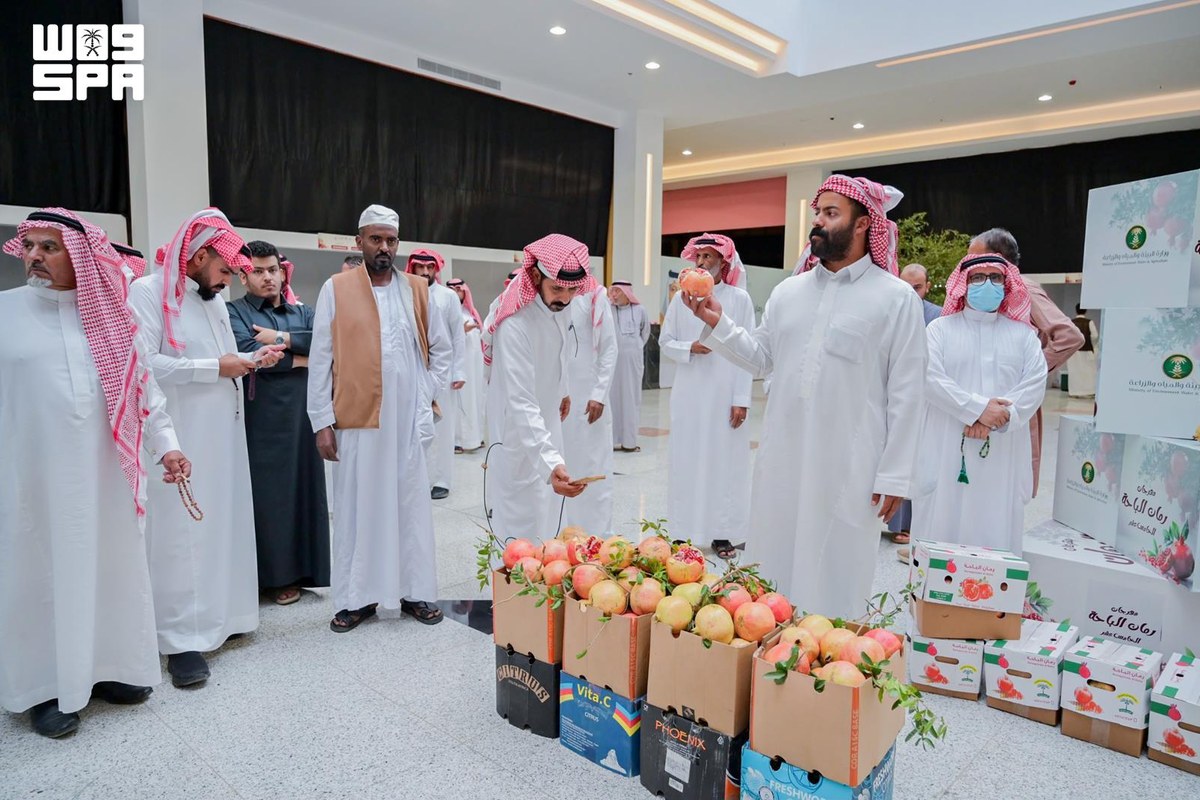 جولة في مهرجان الرمان الخامس عشر بمنطقة الباحة
