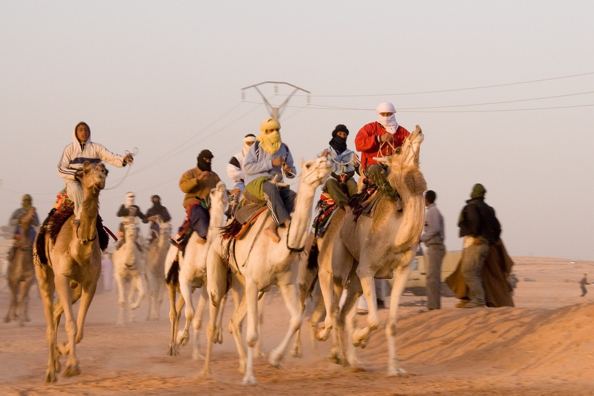 هجن خلال سباق في الصحراء