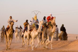 سباق للهجن في الصحراء