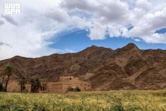 التنوع البيئي في منطقة نجران
