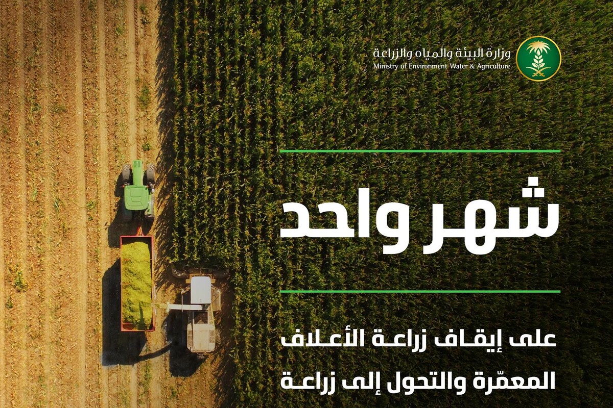 إنفوجرافيك وزارة البيئة والمياه والزراعة عن إيقاف زراعة الأعلاف المعمرة