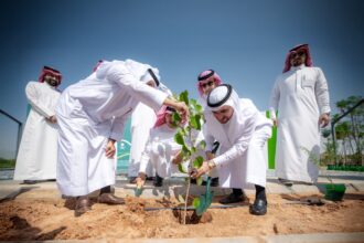 رئيس جامعة القصيم يزرع شجرة خلال تدشين المرحلة الثامنة عشرة من مبادرة أرض القصيم خضراء