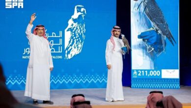 شاهين المويلح يُباع بـ211 ألف ريال في مزاد الصقور