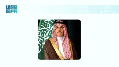 وزير الخارجية يبحث مع نظيره الجنوب أفريقي تعزيز التعاون