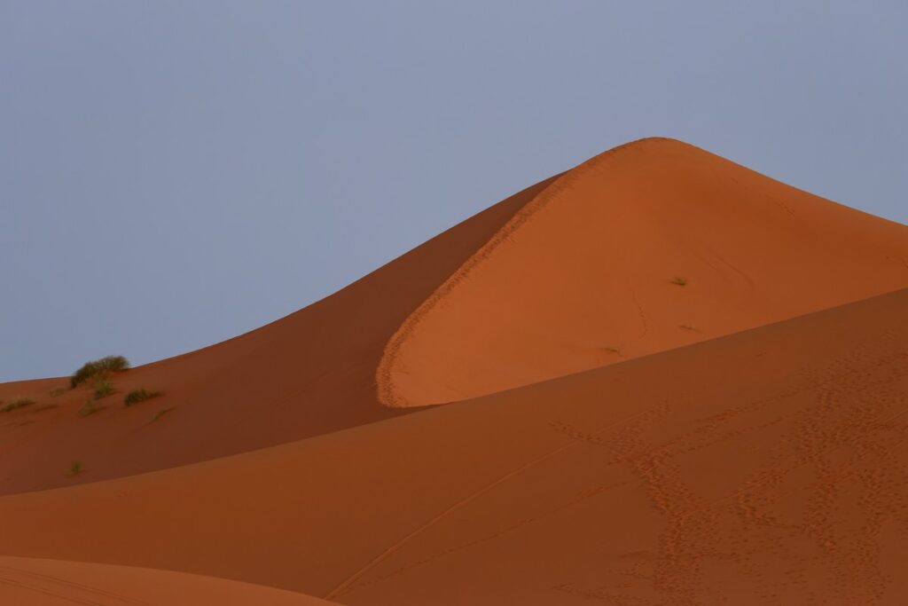 سهول رملية تكسوها أشعة الشروق الذهبية في أجواء خريفية