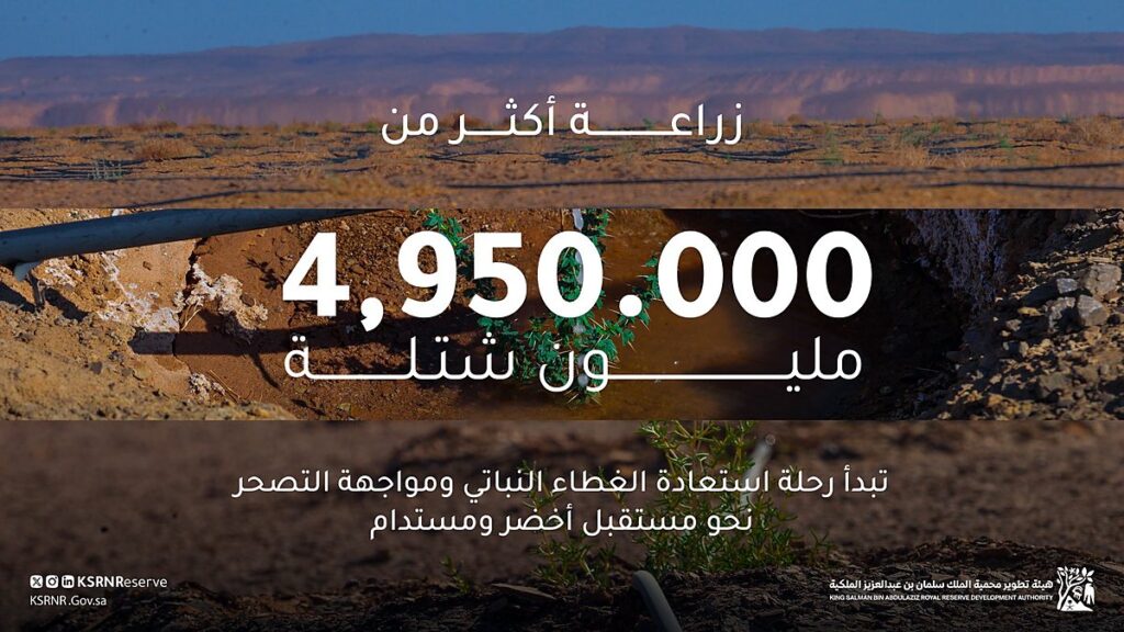 محمية الملك سلمان - زراعة أكثر من 4.95 ملايين شتلة في موسم التشجير