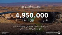 محمية الملك سلمان - زراعة أكثر من 4.95 ملايين شتلة في موسم التشجير