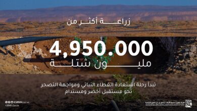 محمية الملك سلمان تزرع 4.95 ملايين شتلة في موسم التشجير