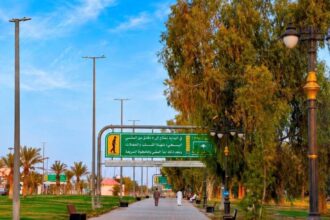 رفحاء في اليوم العالمي للمدن.. 40 حديقة ومساحات خضراء تتجاوز 1.44 مليون متر مربع